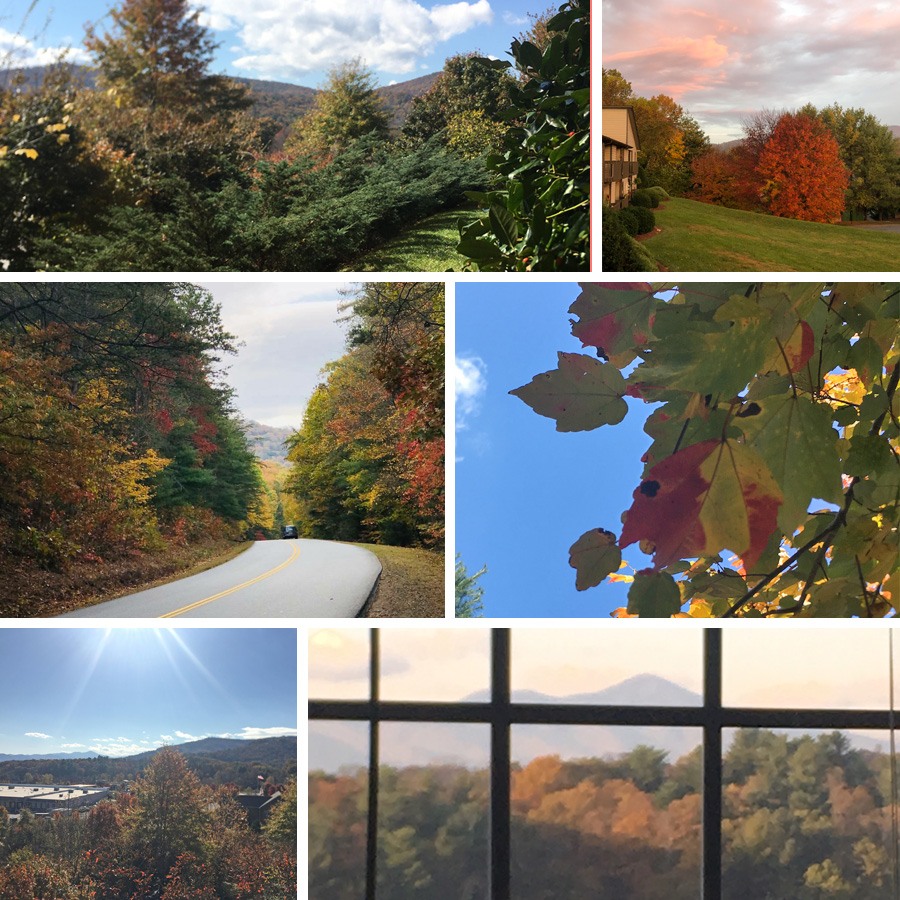 Asheville Collage